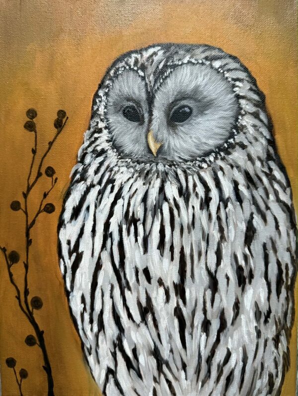 Wildsong Studio Series